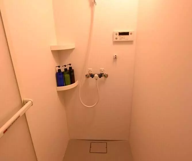 Mt Apartment