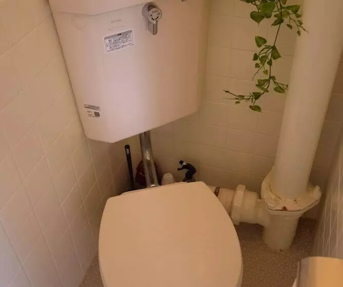 Mt Apartment