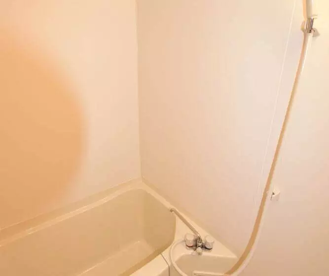 Mt Apartment