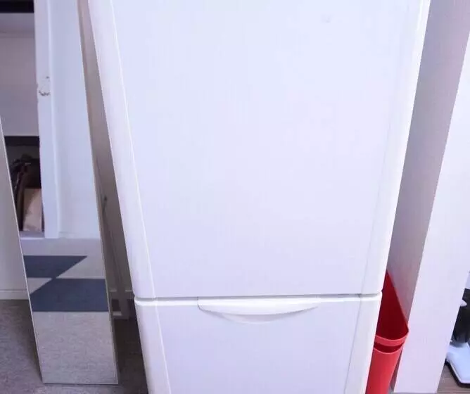 Mt Apartment