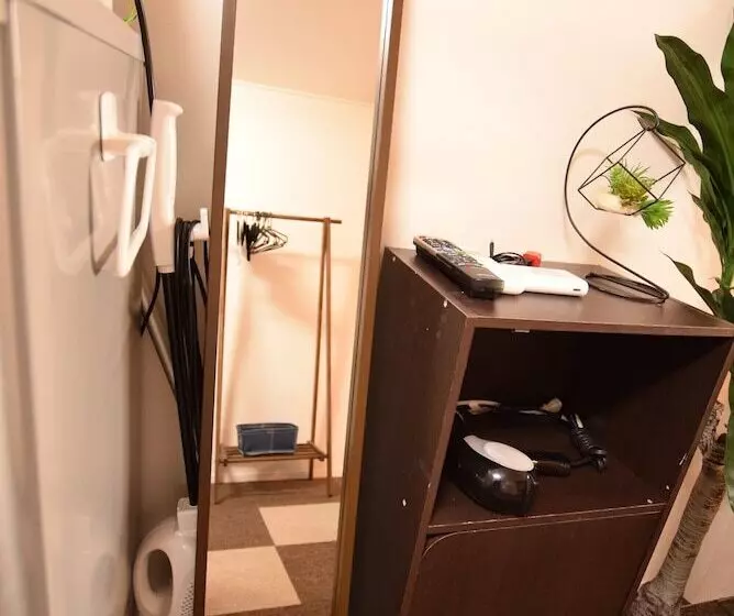 Mt Apartment