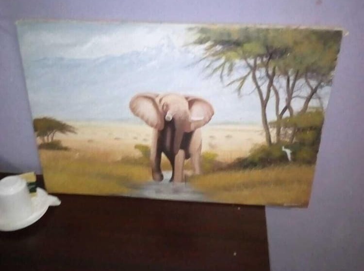 پانسیون Batian Guest