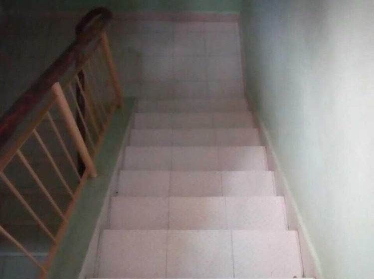 پانسیون Batian Guest