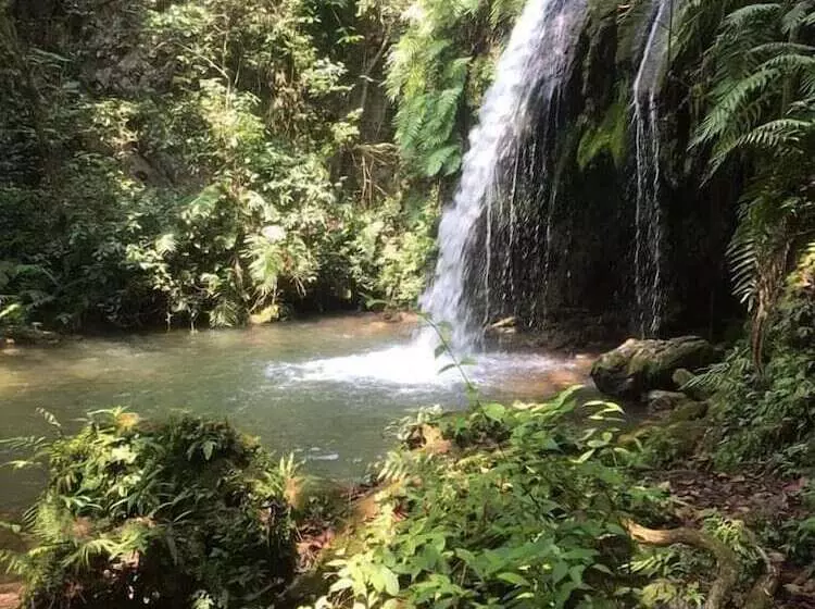 Majatalo Pukyo Bed And Breakfast