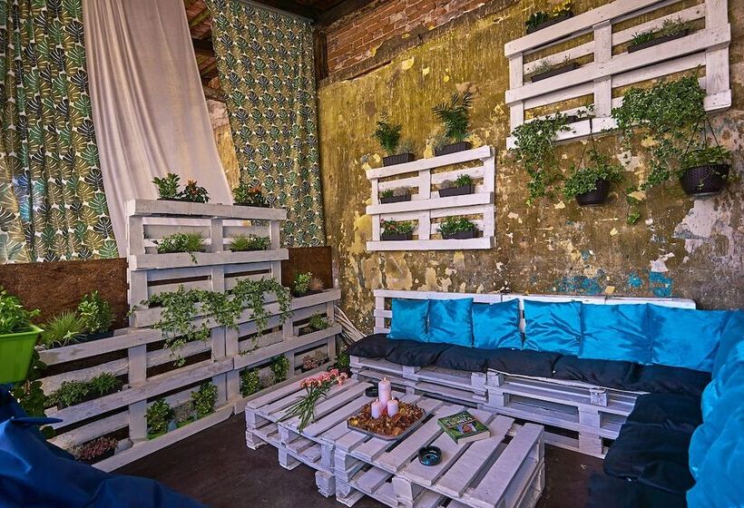 Общежитие Draggo House