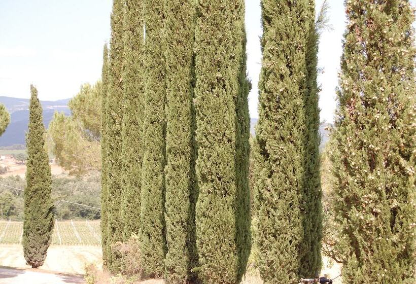 فندق ريفى Agriturismo Montepozzalino