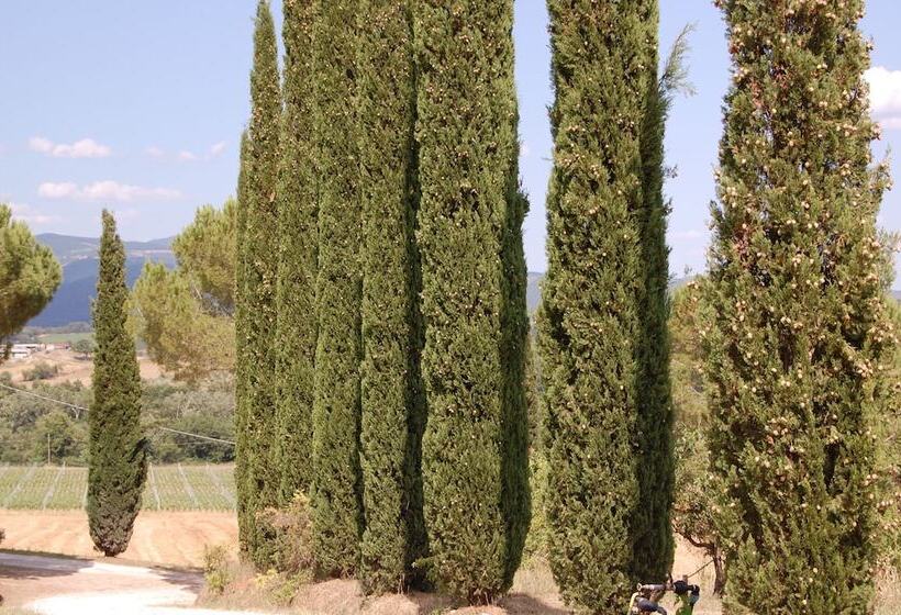 فندق ريفى Agriturismo Montepozzalino