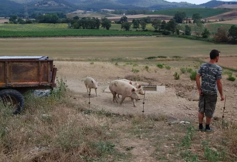 田舎風ホテル Agriturismo Montepozzalino