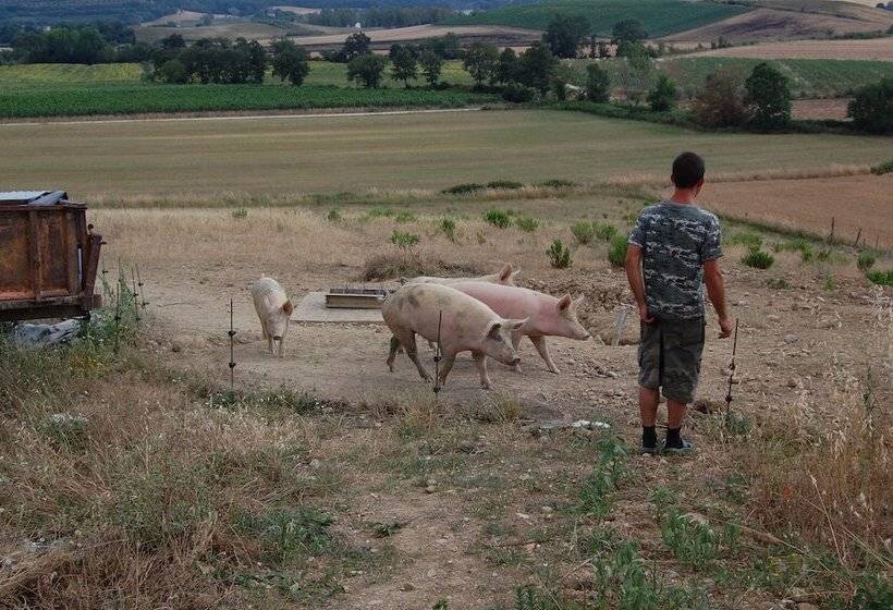 فندق ريفى Agriturismo Montepozzalino