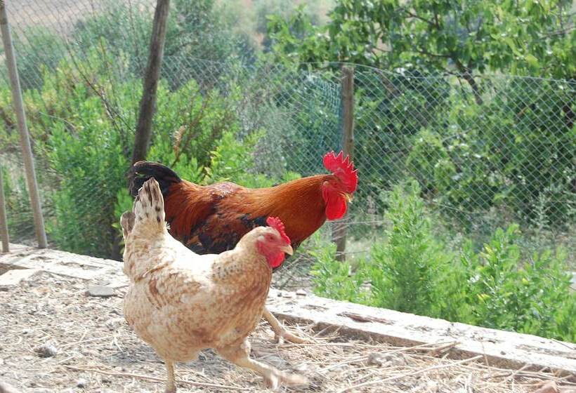 فندق ريفى Agriturismo Montepozzalino