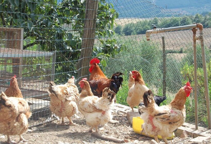 فندق ريفى Agriturismo Montepozzalino