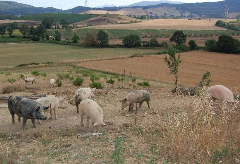 فندق ريفى Agriturismo Montepozzalino