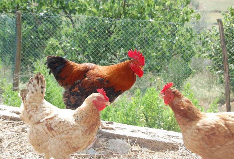 فندق ريفى Agriturismo Montepozzalino