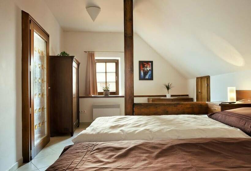 펜션 Staroměstský Penzion