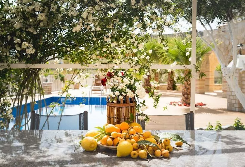 Anesis Family Villas