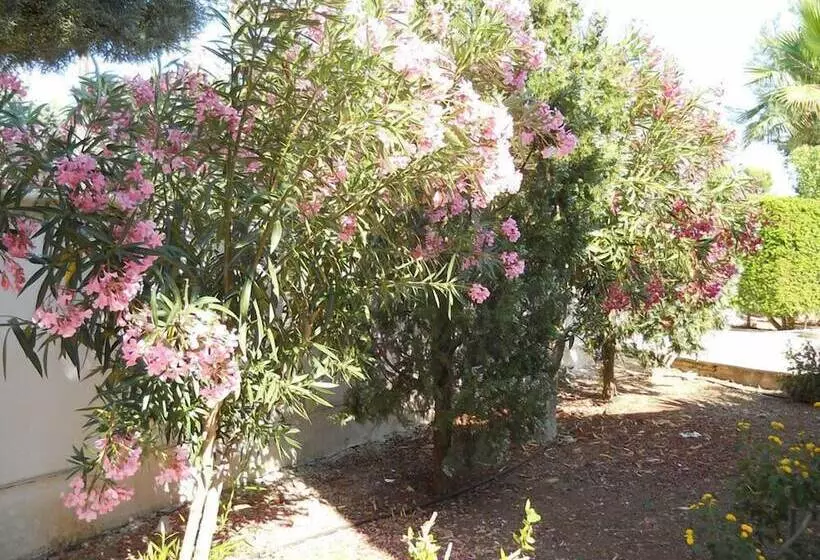 B&b La Strea
