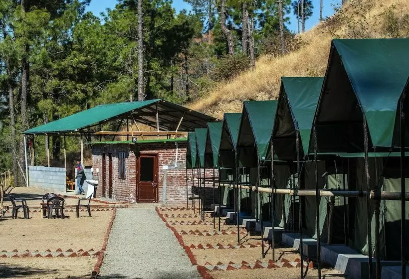 Hotelli Jungle Stays