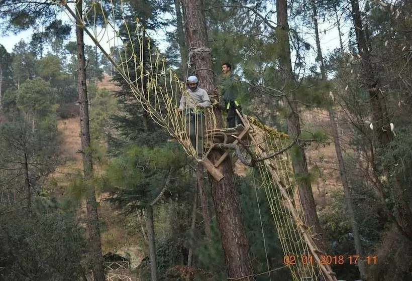 Hotelli Jungle Stays