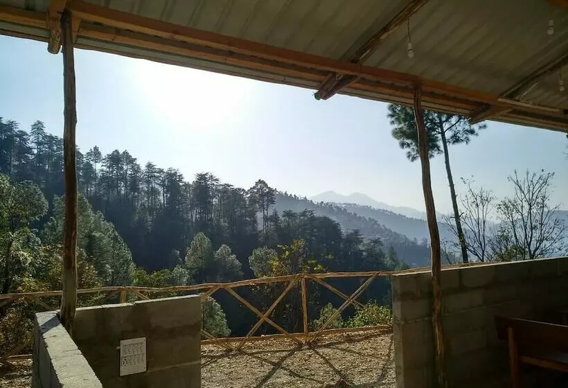 Hotelli Jungle Stays