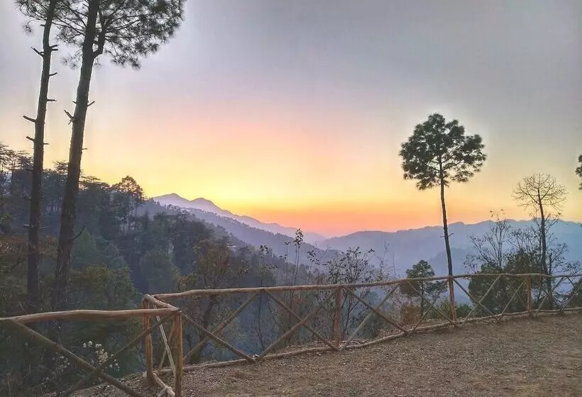 Hotelli Jungle Stays