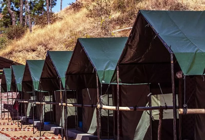 Hotelli Jungle Stays