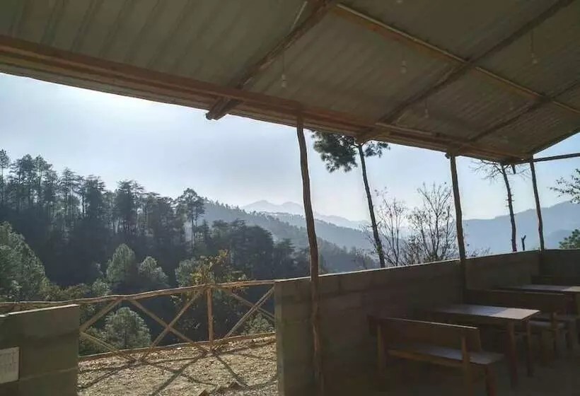 Hotelli Jungle Stays