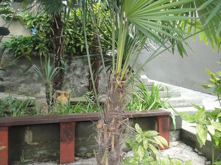 پانسیون Guest House Mishlen