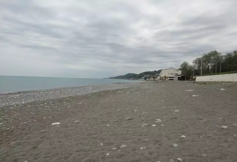 ペンション Guest House Mishlen