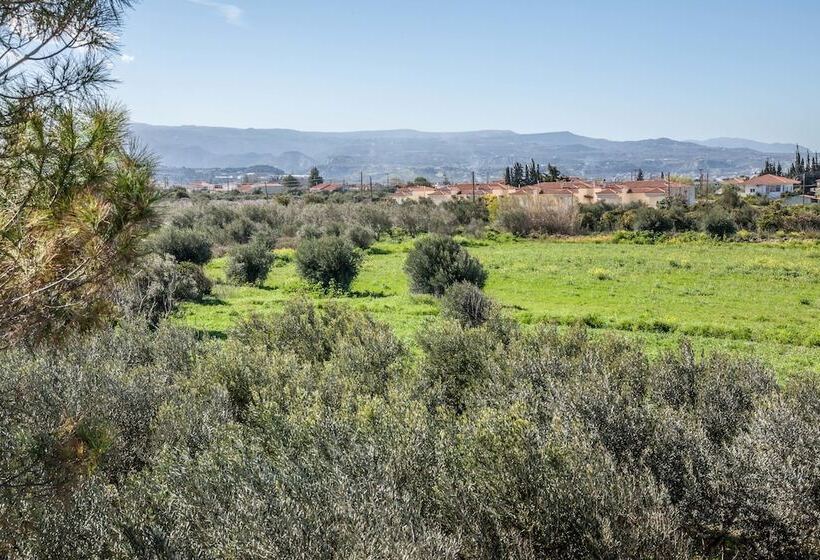 Phoenix Beachside Condos