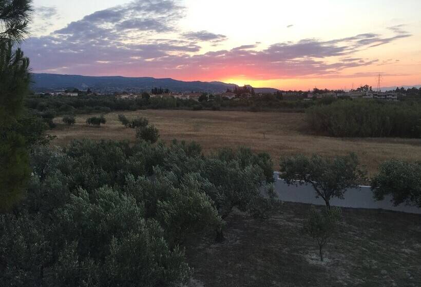 Phoenix Beachside Condos