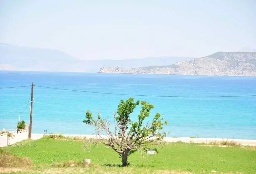 Phoenix Beachside Condos