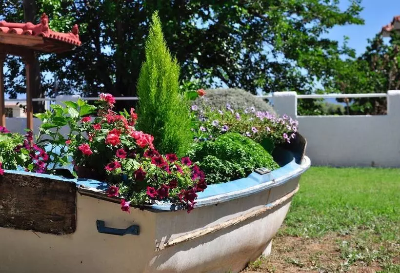 Phoenix Beachside Condos