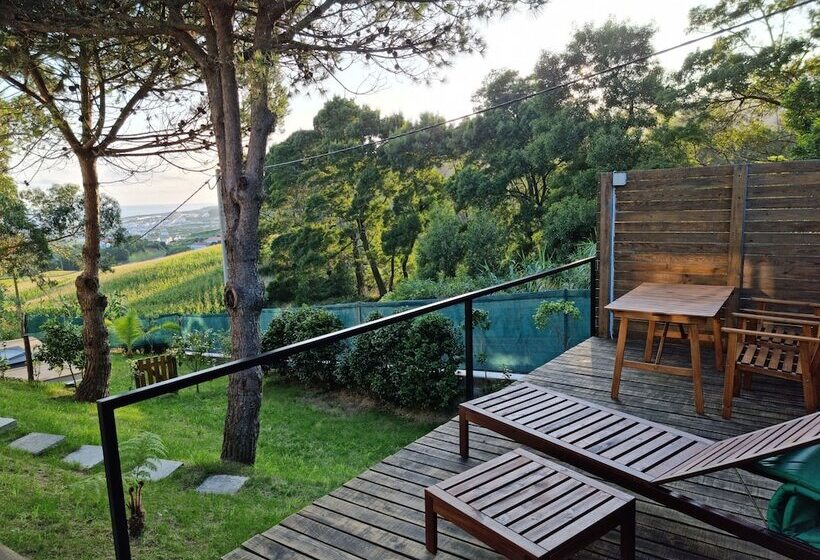 Place Of Moments Natur