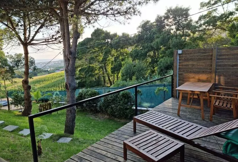 Place Of Moments Natur