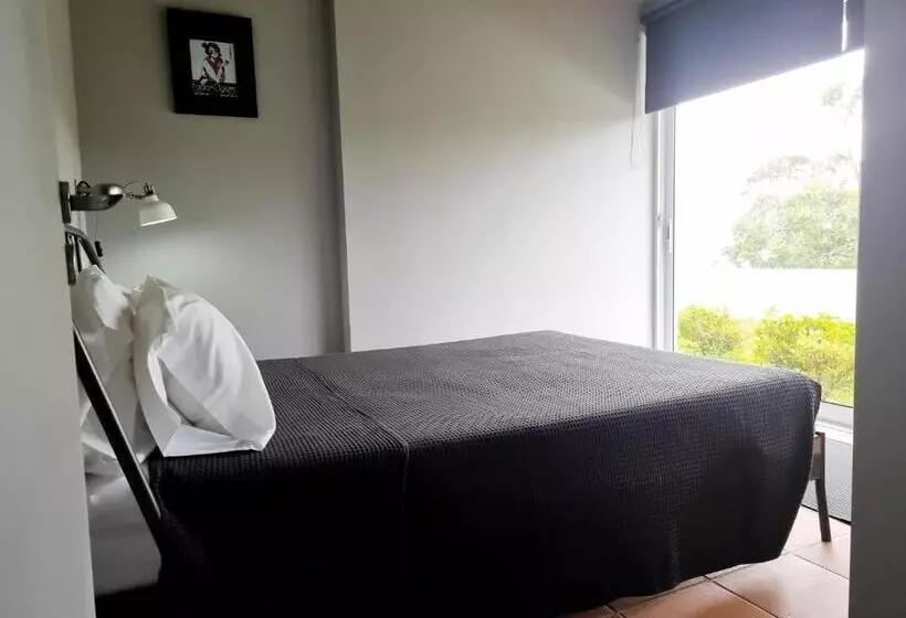 Place Of Moments Natur