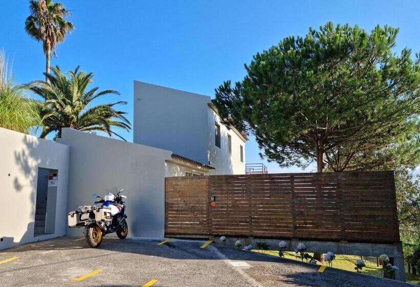 Place Of Moments Natur