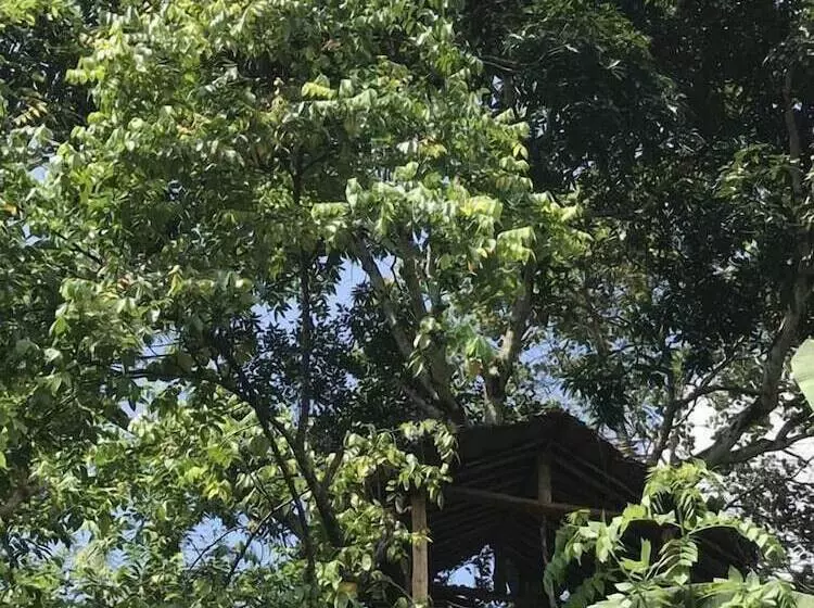 Majatalo Plantation Retreat