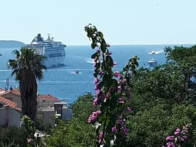 Apartments And Rooms Zvjezdana