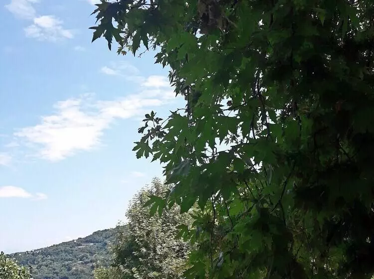 ペンション φιλυρέα   ενοικιαζόμενα δωμάτια