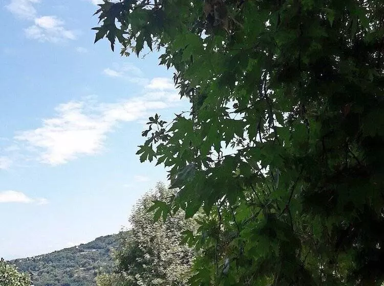ペンション φιλυρέα   ενοικιαζόμενα δωμάτια