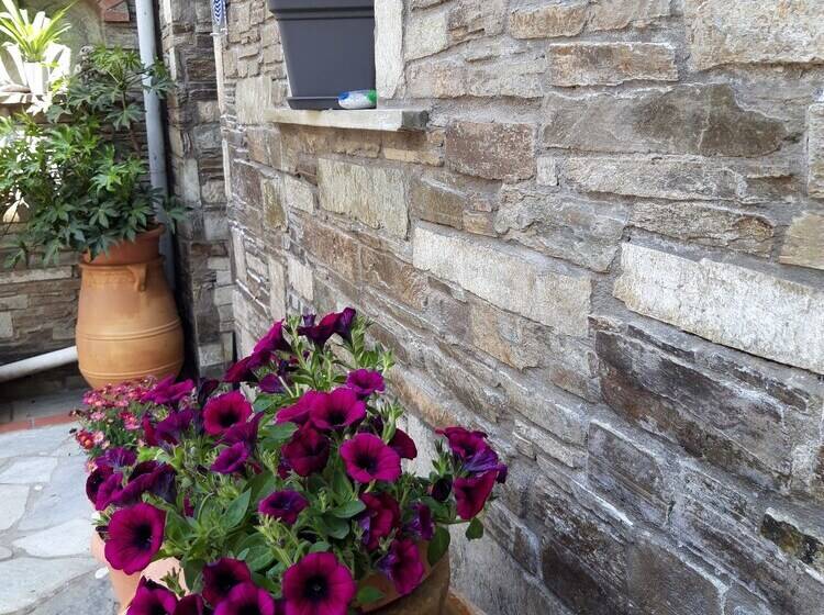 Пансион φιλυρέα ενοικιαζόμενα δωμάτια