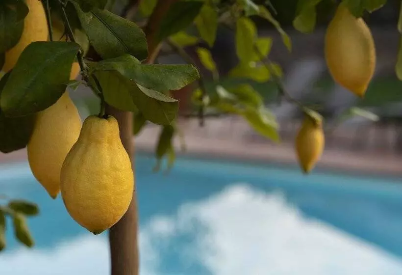 ホテル Relais Le Macine Di Stigliano