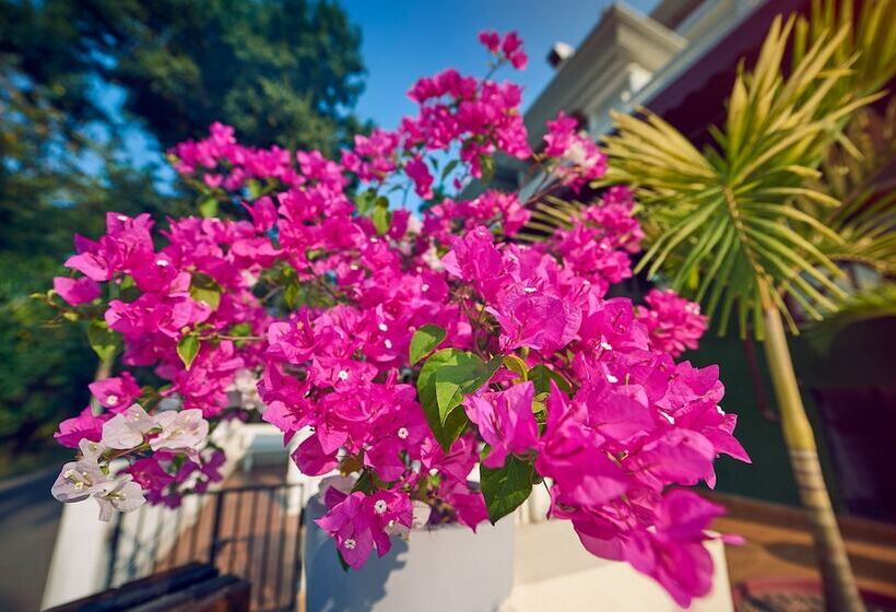 Отель Ziva Suites A Boutique