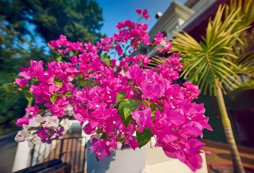 Hotelli Ziva Suites   A Boutique