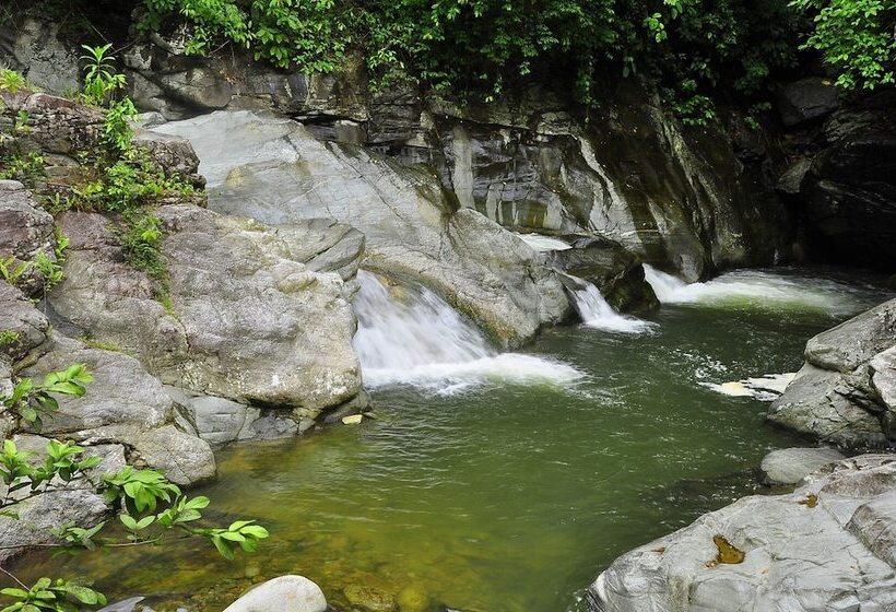 Badladz Staycation Condos