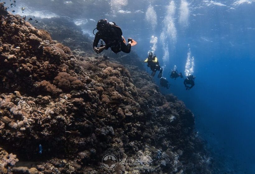 Badladz Staycation Condos