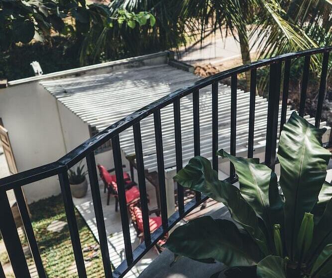 Bed and Breakfast Jungle Soul