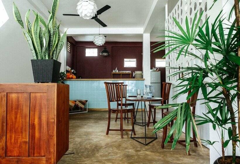 Bed and Breakfast Jungle Soul