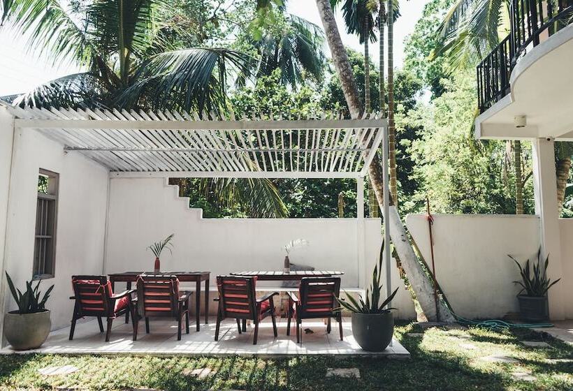 Bed and Breakfast Jungle Soul