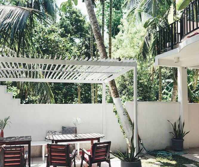 Bed and Breakfast Jungle Soul